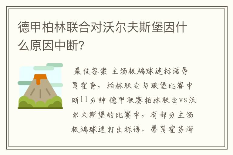 德甲柏林联合对沃尔夫斯堡因什么原因中断?
