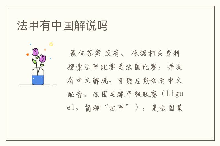 法甲有中国解说吗