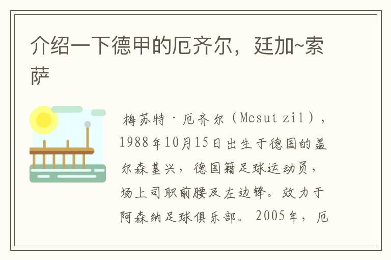 介绍一下德甲的厄齐尔,廷加~索萨