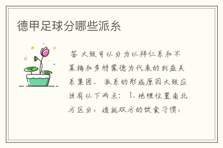德甲足球分哪些派糸