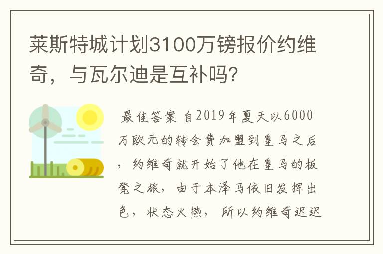 莱斯特城计划3100万镑报价约维奇,与瓦尔迪是互补吗?