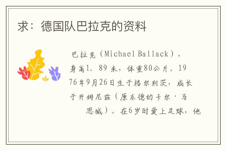 求:德国队巴拉克的资料