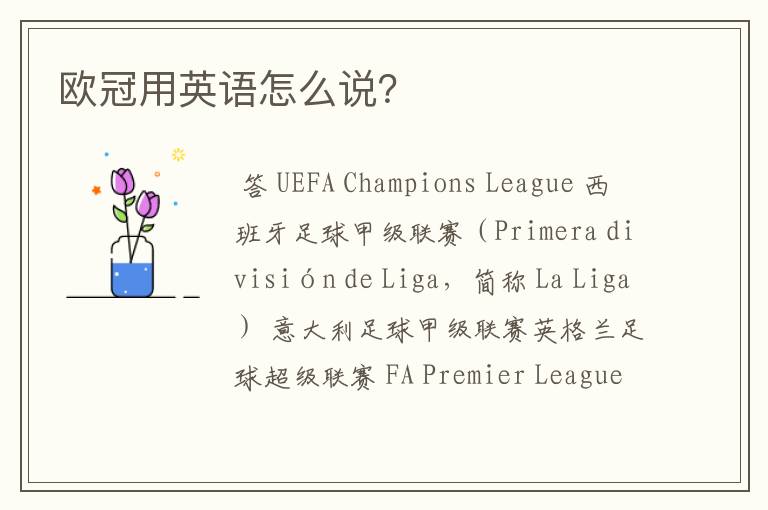欧冠用英语怎么说?