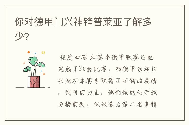 你对德甲门兴神锋普莱亚了解多少?