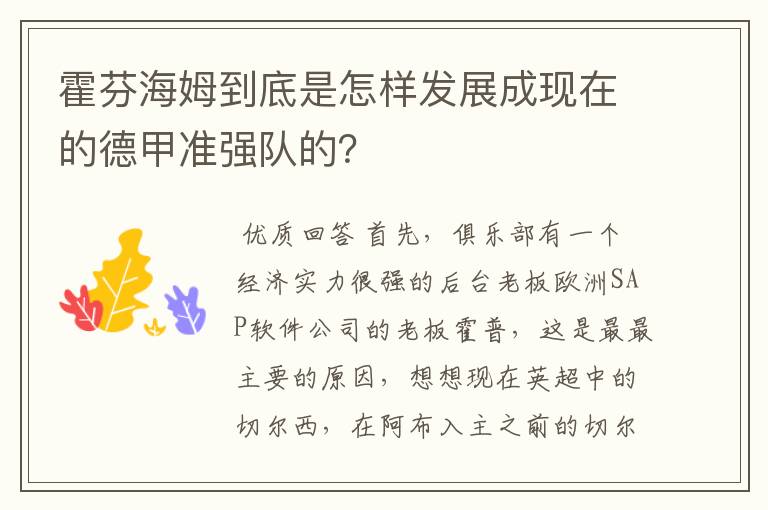 霍芬海姆到底是怎样发展成现在的德甲准强队的?