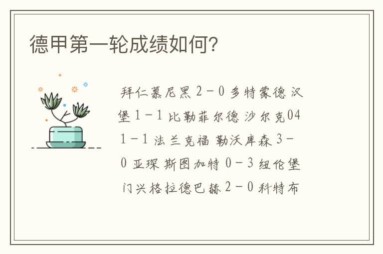 德甲第一轮成绩如何?