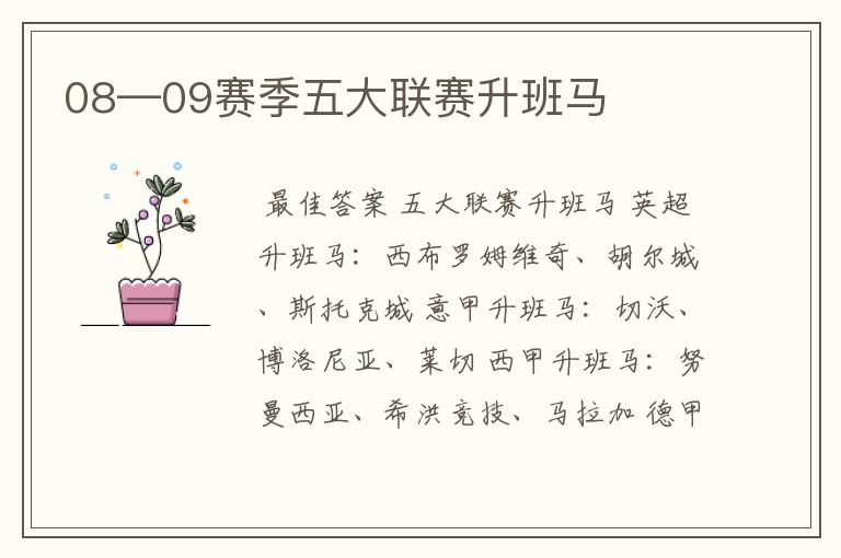 08—09赛季五大联赛升班马