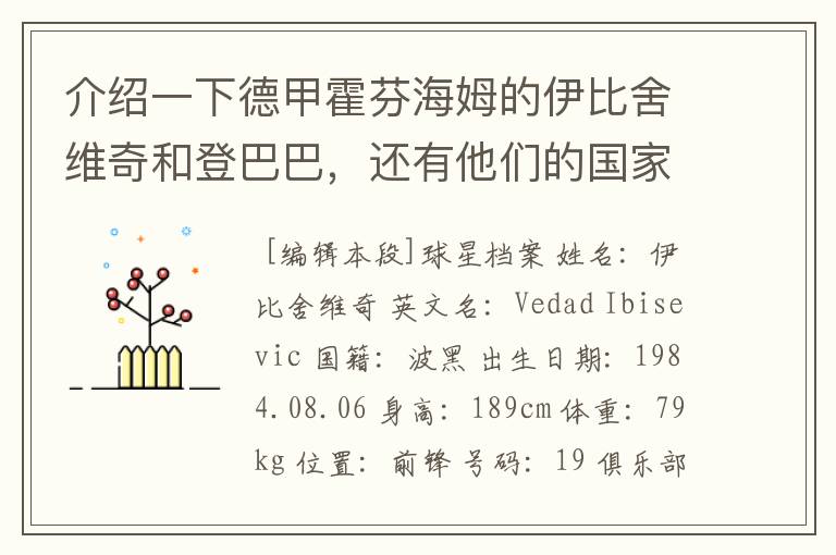 介绍一下德甲霍芬海姆的伊比舍维奇和登巴巴,还有他们的国家队履历