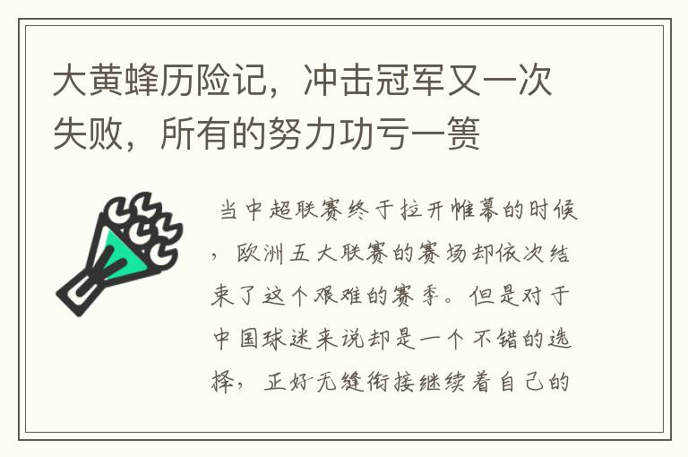 大黄蜂历险记,冲击冠军又一次失败,所有的努力功亏一篑