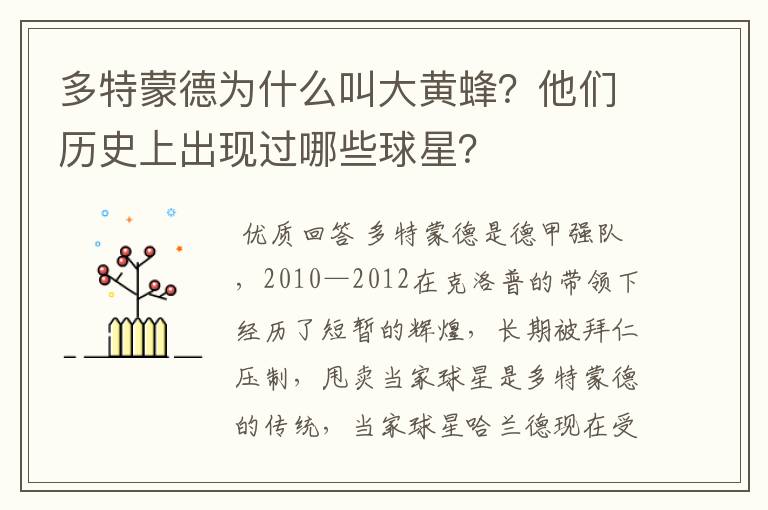 多特蒙德为什么叫大黄蜂?他们历史上出现过哪些球星?