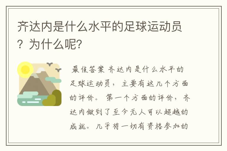 齐达内是什么水平的足球运动员?为什么呢?