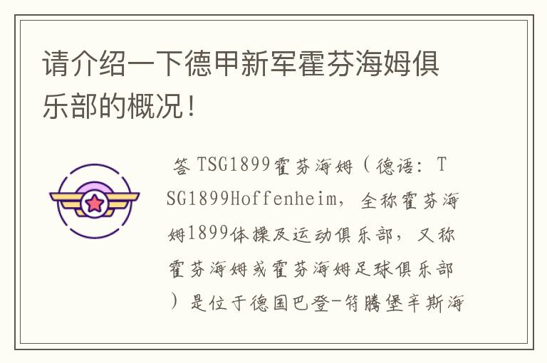 请介绍一下德甲新军霍芬海姆俱乐部的概况!