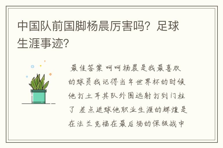 中国队前国脚杨晨厉害吗？足球生涯事迹？