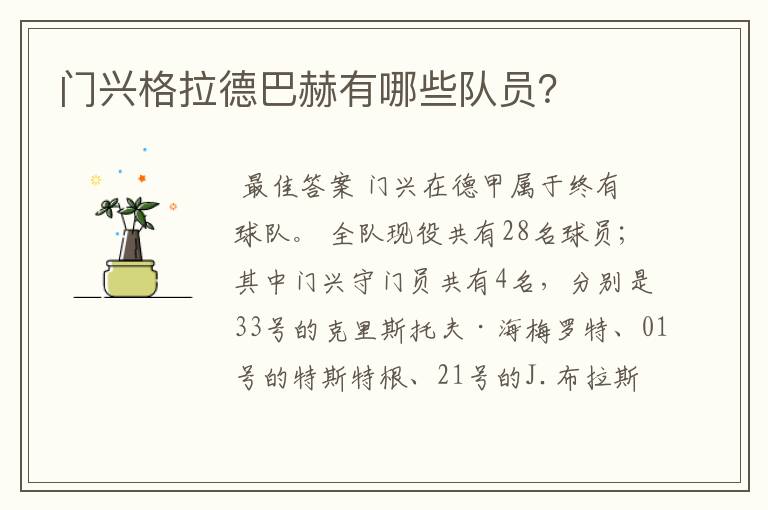 门兴格拉德巴赫有哪些队员?