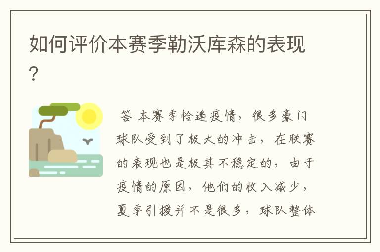 如何评价本赛季勒沃库森的表现?