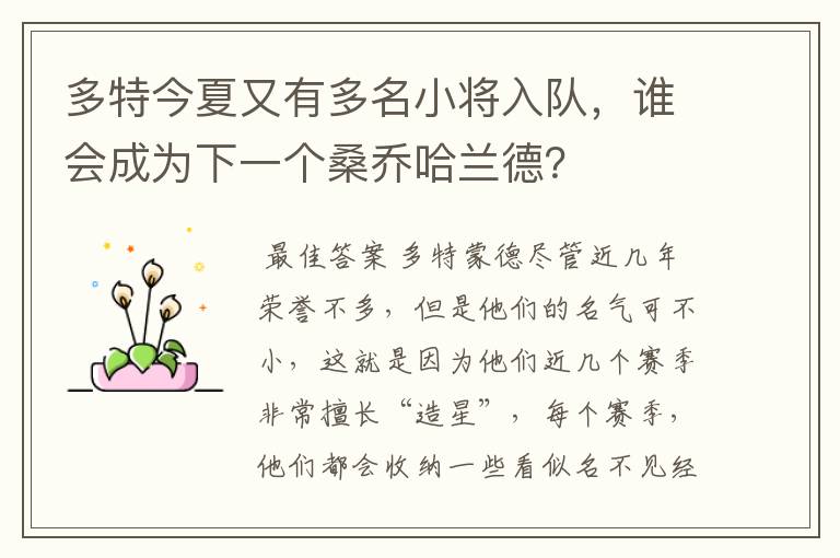多特今夏又有多名小将入队,谁会成为下一个桑乔哈兰德?