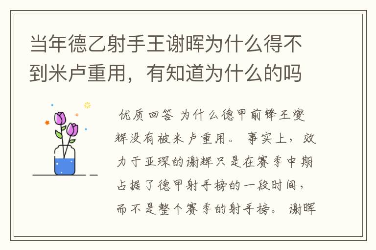 当年德乙射手王谢晖为什么得不到米卢重用,有知道为什么的吗?