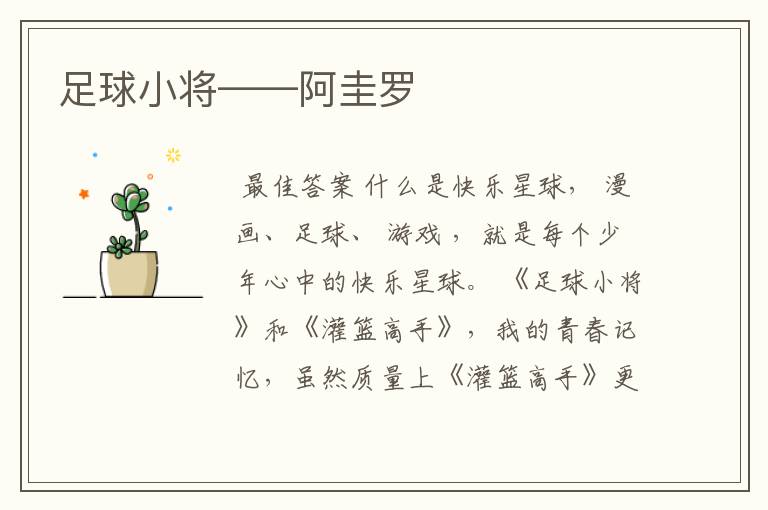足球小将——阿圭罗