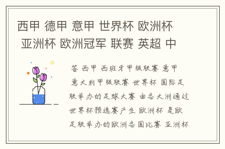 西甲 德甲 意甲 世界杯 欧洲杯 亚洲杯 欧洲冠军 联赛 英超 中超 分别是什么意思啊?