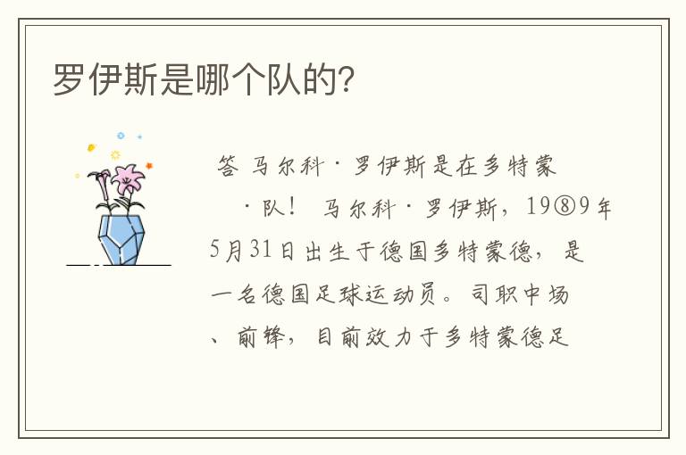 罗伊斯是哪个队的?
