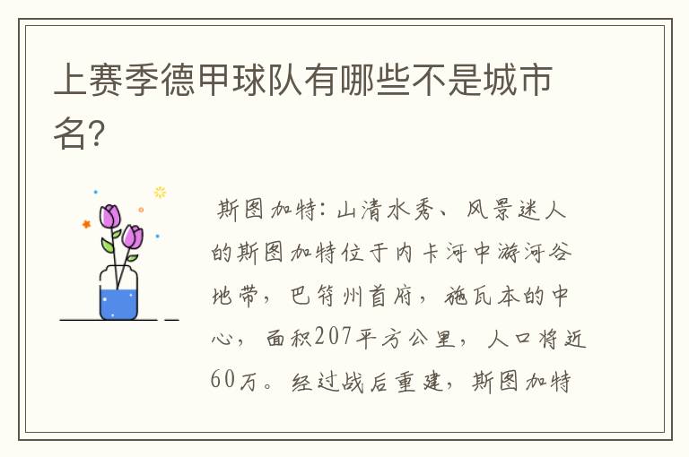 上赛季德甲球队有哪些不是城市名?