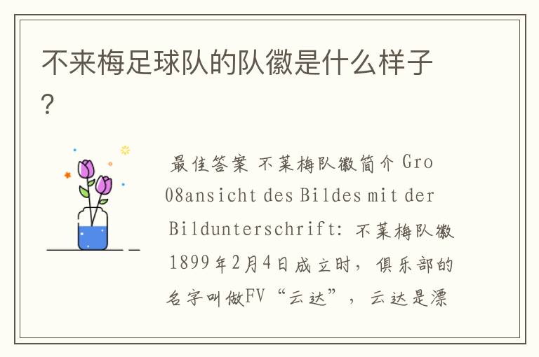 不来梅足球队的队徽是什么样子?