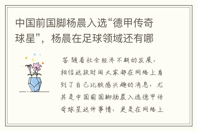 中国前国脚杨晨入选“德甲传奇球星”,杨晨在足球领域还有哪些成就?