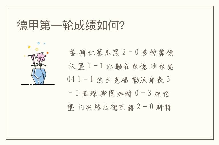德甲第一轮成绩如何?