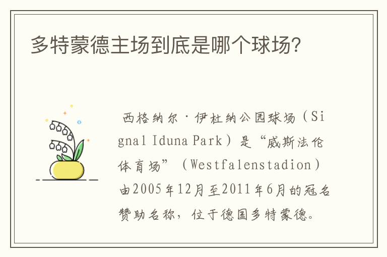 多特蒙德主场到底是哪个球场?