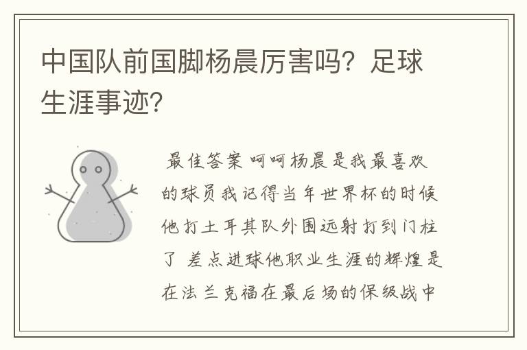 中国队前国脚杨晨厉害吗?足球生涯事迹?
