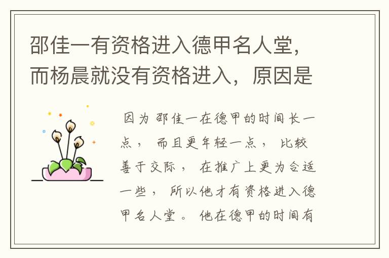 邵佳一有资格进入德甲名人堂,而杨晨就没有资格进入,原因是什么?