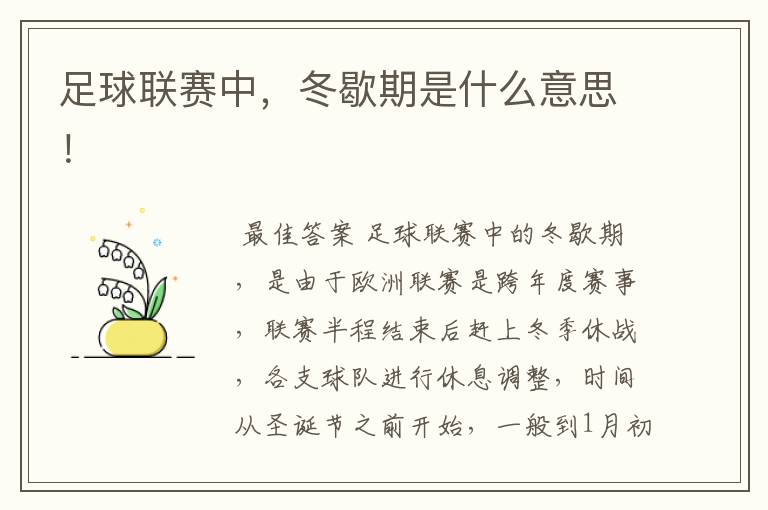 足球联赛中,冬歇期是什么意思!