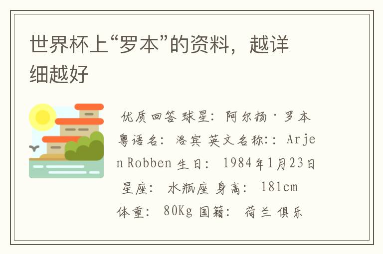 世界杯上“罗本”的资料,越详细越好