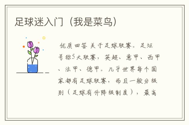 足球迷入门(我是菜鸟)