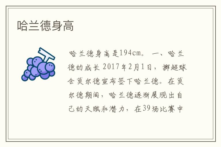哈兰德德甲进球多少，哈兰德德甲数据
