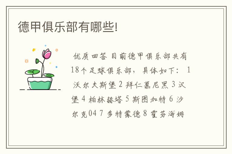 德甲俱乐部有哪些!