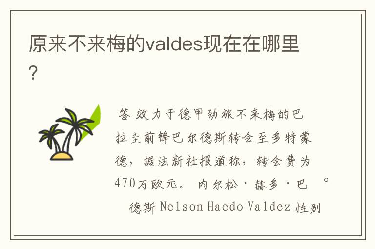 原来不来梅的valdes现在在哪里?