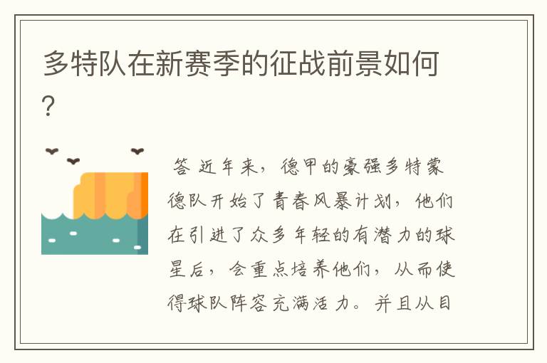多特队在新赛季的征战前景如何?