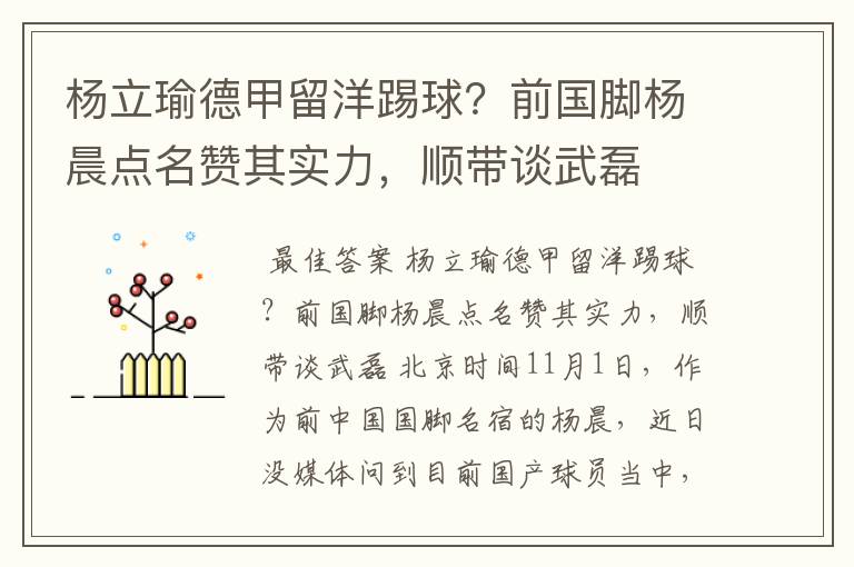 杨立瑜德甲留洋踢球?前国脚杨晨点名赞其实力,顺带谈武磊