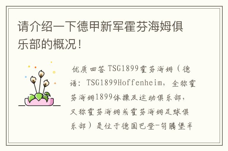 请介绍一下德甲新军霍芬海姆俱乐部的概况!