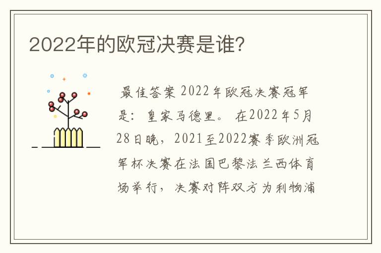 2022年的欧冠决赛是谁?