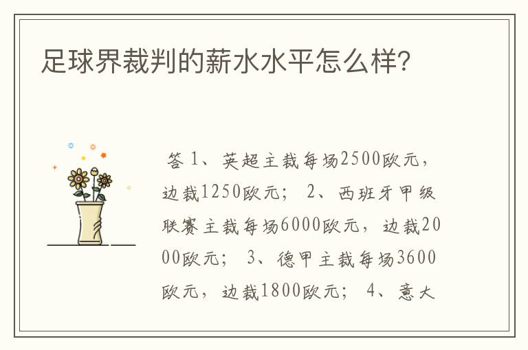 足球界裁判的薪水水平怎么样?