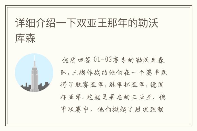 详细介绍一下双亚王那年的勒沃库森