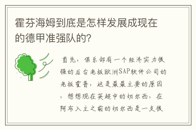 霍芬海姆到底是怎样发展成现在的德甲准强队的?