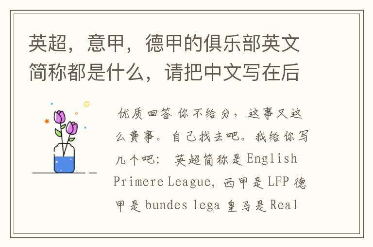 英超,意甲,德甲的俱乐部英文简称都是什么,请把中文写在后面