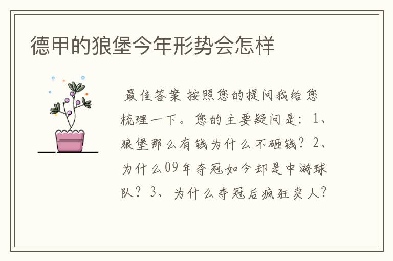 德甲的狼堡今年形势会怎样