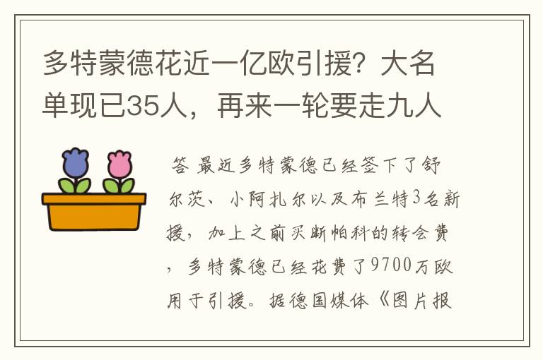 多特蒙德花近一亿欧引援?大名单现已35人,再来一轮要走九人
