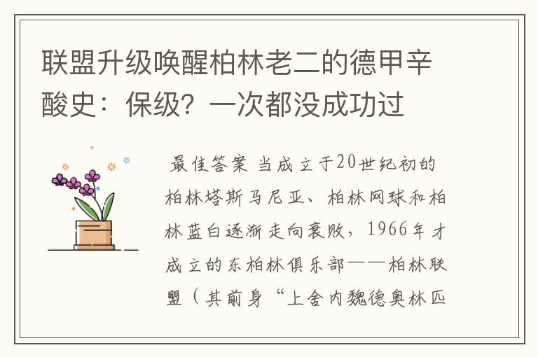 联盟升级唤醒柏林老二的德甲辛酸史:保级?一次都没成功过