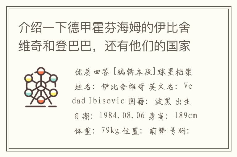 介绍一下德甲霍芬海姆的伊比舍维奇和登巴巴,还有他们的国家队履历