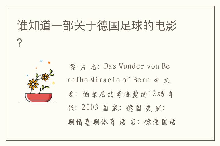 谁知道一部关于德国足球的电影?